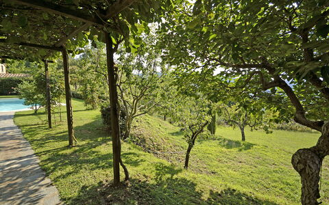Villa Magnolia: Træ, Natur, Naturlige Landskab, Grøn, Vegetationen, Græs, Naturligt Miljø, Naturreservat, Afdeling, Vedplante