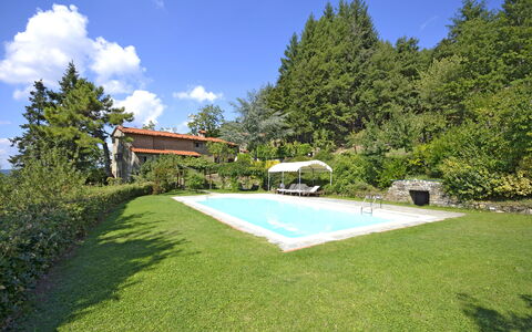 Villa Magnolia: Ejendom, Græs, Hus, Naturlige Landskab, Estate, Ejendom, Hjem, Bygning, Gård, Backyard