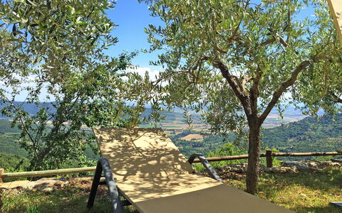 Villa Del Sole: Træ, Vedplante, Plante, Naturreservat, Canoe Birch, Ejendom, Fly, Bord, Skygge