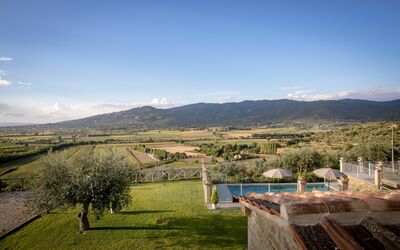 Swimming pool and garden
