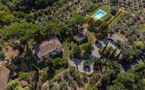 Villa San Pietro: Plantesamfund, Plante, Land Lot, Bygning, Træ, Urban Design, Naturlige Landskab, Kvarter, Boligområde, Landdistrikt