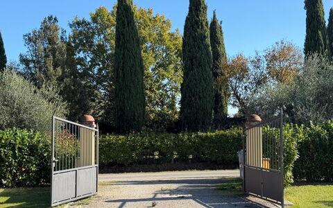 Villa Mira: Busk, Have, Skygge, Landscaping, Evergreen, Hæk, Parkere, Hegn