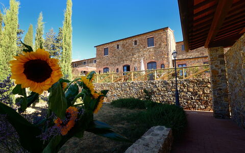 Borgo Casa Di Lappi: Sunflower, Blomst, Blå, Sunflower, Gul, Himmel, Plante, Arkitektur, Bygning, Landskab