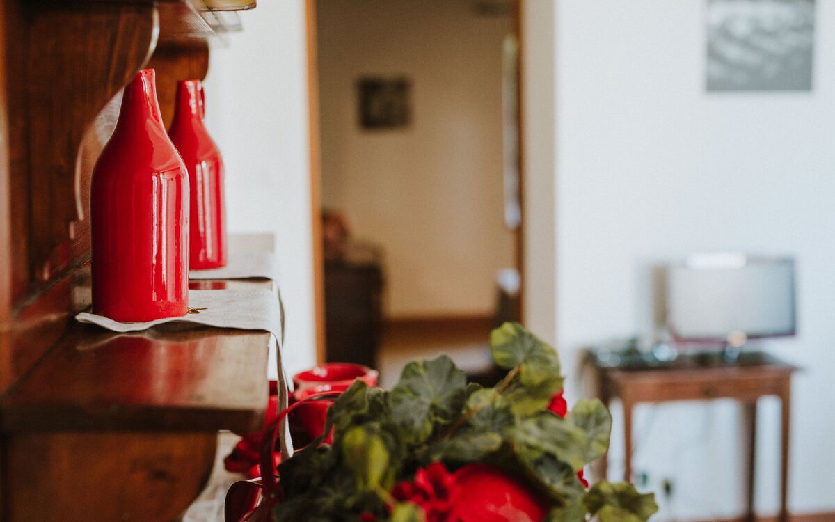 agriturismo-la-papessa-chianti-san-donato-farmhouse-azalea-living-room