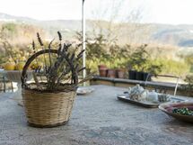 Villa Il Palagio Pian Di Sco