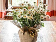 Feriebolig:&nbsp;Casa Vecchia