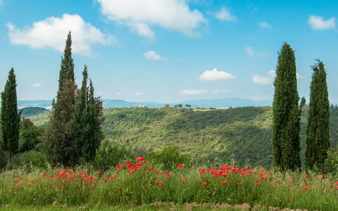 Fontanelle 16: Naturlige Landskab, Eng, Natur, Naturligt Miljø, Vegetationen, Græs-, Himmel, Ødemark, Naturreservat, Biome