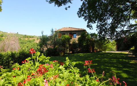 Villa Gioiosa: Blomst, Plante, Himmel, Plantesamfund, Træ, Naturlige Landskab, Bygning, Land Lot, Vegetationen, Græs