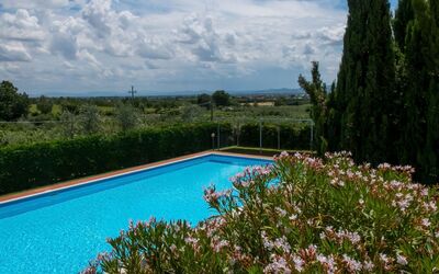 Pistoia Tower Apartments: Sky, Vand, Himmel, Blomst, Plante, Svømmepøl, Botanik, Natur, Træ, Naturlige Landskab
