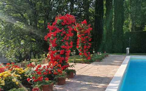 Torre del Cielo: Vand, Blomst, Plante, Grøn, Træ, Vegetationen, Kronblad, Græs, Blomsterkrukke, Landskab