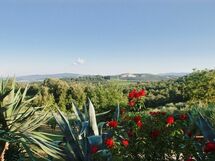 the landscape from the garden