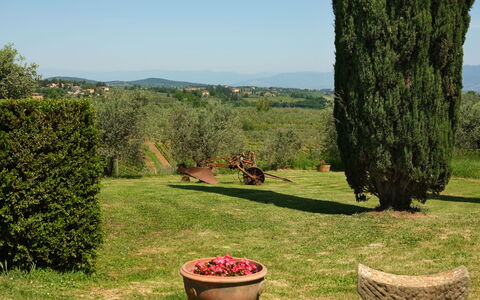 Pozzo Dei Desideri: Plante, Himmel, Blomst, Plantesamfund, Blomsterkrukke, Grøn, Natur, Botanik, Naturlige Landskab, Træ
