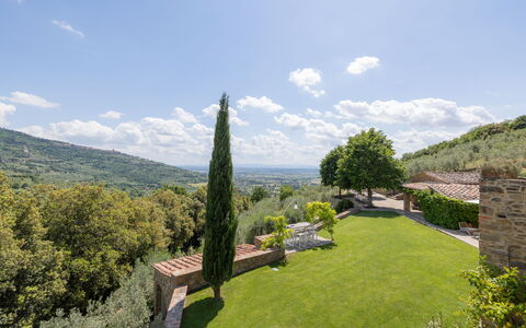 Tenuta Pomona: Vegetationen, Bakke, Landskab, Busk, Highland, Land Lot, Plantesamfund, Hill Station, Bunddække