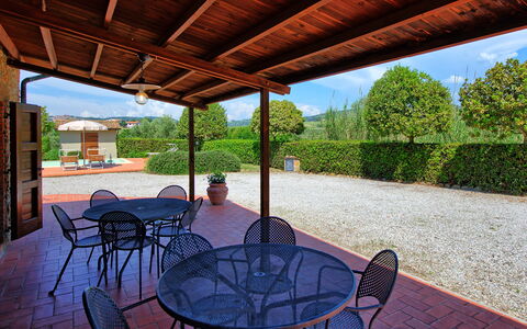 Cuccardino: Plante, Ejendom, Himmel, Bygning, Bord, Skygge, Træ, Indretning, Træ, Stol