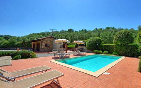 Cuccardino: Himmel, Ejendom, Plante, Svømmepøl, Vand, Træ, Udendørs Møbler, Træ, Rektangel, Græs