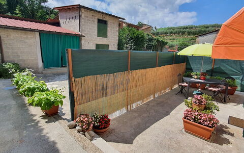 La Piccola Margherita: Ejendom, Hus, Væg, Ejendom, Hjem, Backyard, Bygning, Land Lot, Landskab, Gård