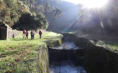 La Piccola Margherita