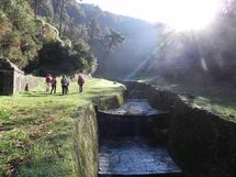 La Piccola Margherita