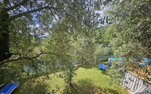 Alla Piazzetta Proprietà: Blå, Have, Skygge, Backyard