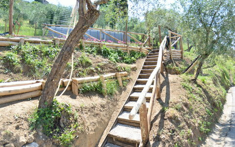 Alla Piazzetta: Træ, Botanik, Trappe, Walkway, Plante, Træ, Plantesamfund, Dyreliv, Boardwalk, Hus