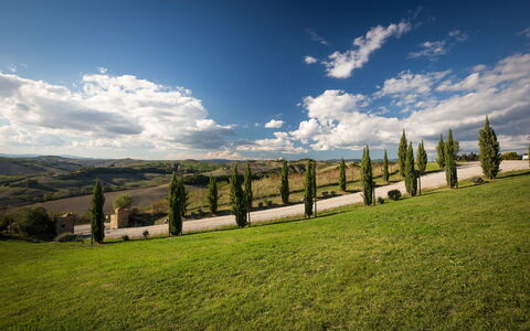 Appartamento Il Nido Di Giulia: Himmel, Natur, Grøn, Sky, Naturlige Landskab, Græs, Græs-, Daytime, Træ, Naturligt Miljø