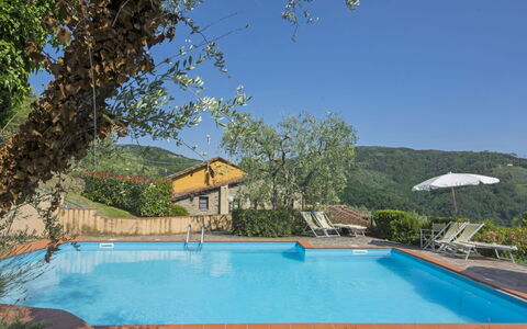 Pescia 825