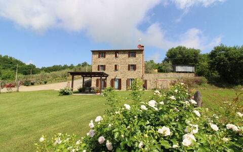 Poggio del Fabbro: Blomst, Plante, Sky, Bygning, Himmel, Træ, Naturlige Landskab, Vindue, Land Lot, Hus