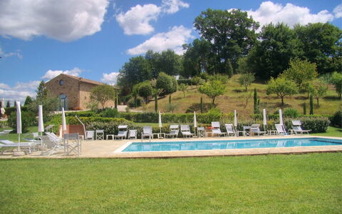 Caselsa