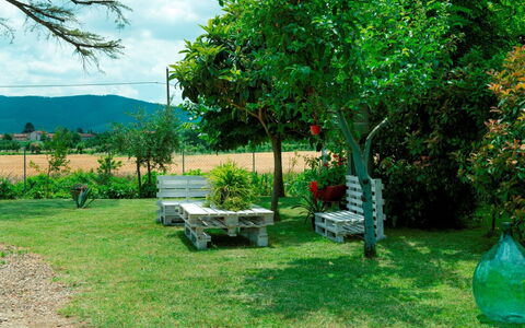 Podere i Gigli: Plante, Himmel, Grøn, Plantesamfund, Sky, Træ, Udendørs Bench, Naturlige Landskab, Land Lot, Græs