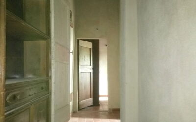 Feriebolig:&nbsp;Cotoneaster