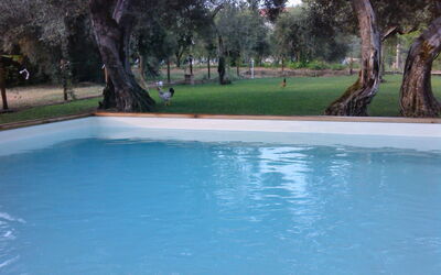 La Collina Con Gli Ulivi