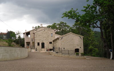 La Collina Con Gli Ulivi