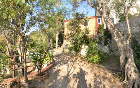 Collina Lagomare: Ejendom, Træ, Ejendom, Hus, Vej, Plante, Bygning, Plantesamfund, Landskab, Estate