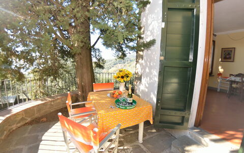 La Cipressa: Ejendom, Værelse, Hjem, Veranda, Ejendom, Hus, Møbel, Backyard, Bygning, Gårdhave