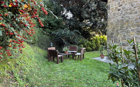 Batticapo di Ilaria: Plante, Plantesamfund, Blad, Blomst, Naturlige Landskab, Græs, Træ, Biome, Busk, Bunddække