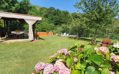 Casa Irene: Blomst, Plante, Himmel, Botanik, Natur, Kronblad, Træ, Naturlige Landskab, Græs, Landskab