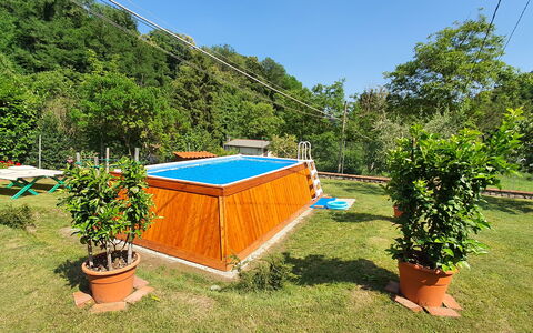 Casa Irene: Plante, Plantesamfund, Himmel, Skygge, Udendørs Møbler, Vegetationen, Blomsterkrukke, Svømmepøl, Træ, Græs