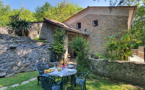 Il Molino: Plante, Bygning, Ejendom, Bord, Vindue, Himmel, Hus, Stol, Træ, Land Lot