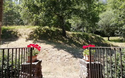 Vignoli: Natur, Vegetationen, Træ, Ejendom, Have, Botanik, Naturreservat, Forår, Plante, Græs