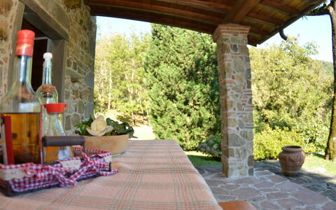 Vignoli: Ejendom, Bygning, Værelse, Veranda, Hus, Gårdhave, Ejendom, Hjem, Estate, Villa