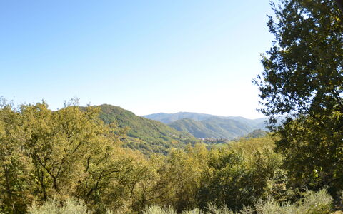 Vignoli: Bjergrige Landskabsformer, Vegetationen, Natur, Naturlige Landskab, Træ, Himmel, Bjerg, Ødemark, Naturligt Miljø, Bakke