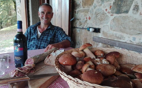 Vignoli: Mad, Ingrediens, Køkken, Fad