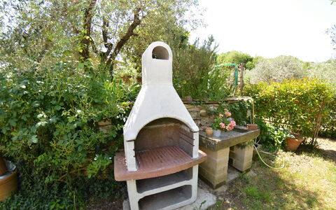 Petra: Have, Hus, Gård, Plante, Backyard