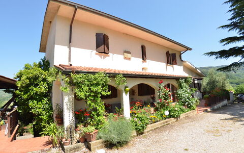 Petra: Ejendom, Hus, Bygning, Ejendom, Hjem, Villa, Landdistrikt, Træ, Facade, Arkitektur