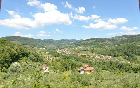 Petra: Vegetationen, Natur, Bjergrige Landskabsformer, Naturlige Landskab, Himmel, Hill Station, Bakke, Bjerg, Ødemark, Naturreservat