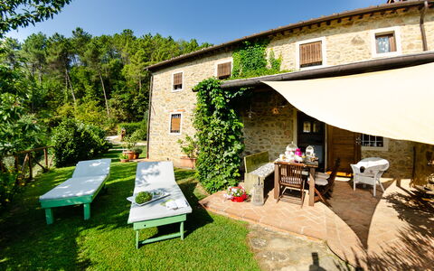 Podere L'istrice: Ejendom, Hus, Bygning, Backyard, Gård, Hjem, Ejendom, Arkitektur, Værelse, Græs