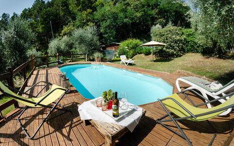 Podere L'istrice: Svømmepøl, Ejendom, Fritid, Backyard, Ejendom, Hus, Ferie, Udvej, Hjem, Liggestol