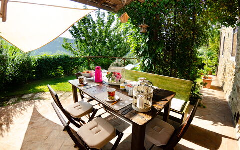 Podere L'istrice: Ejendom, Hus, Værelse, Bord, Gårdhave, Hjem, Ejendom, Bygning, Møbel, Backyard