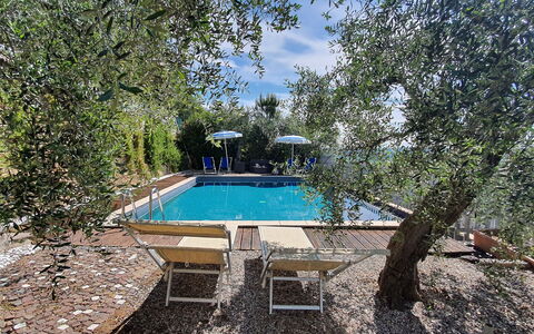 Podere San Martino: Vand, Svømmepøl, Sky, Himmel, Skygge, Træ, Plante, Naturlige Landskab, Fritid, Landskab