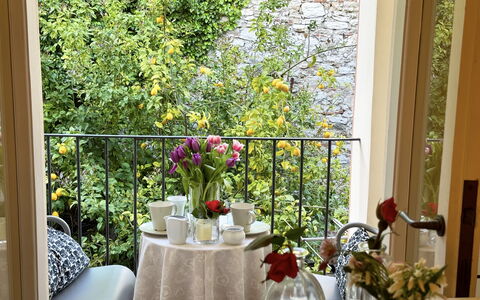 Alle Mura: Møbel, Indretning, Bord, Stol, Blomsterkrukke, Altan, Glas, Stueplante